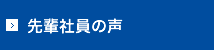 先輩社員の声